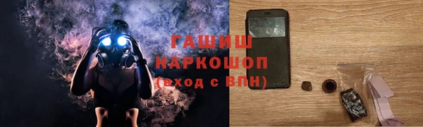 шишки Инта