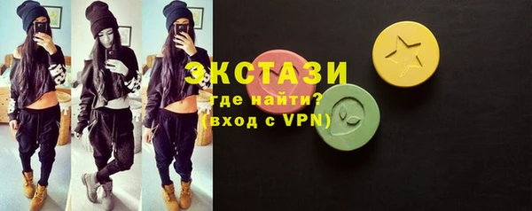шишки Инта
