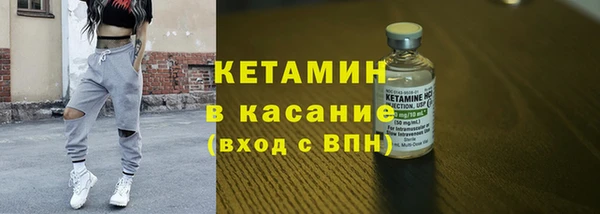 шишки Инта