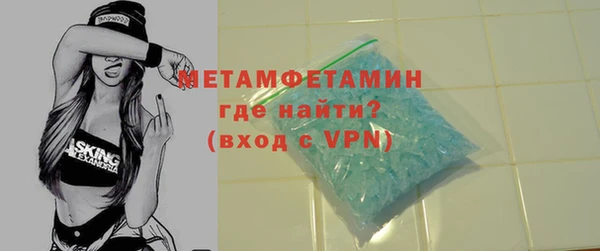 шишки Инта