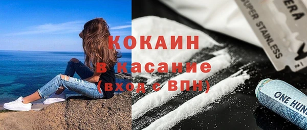 шишки Инта