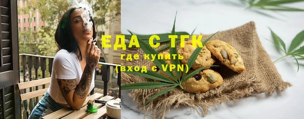 шишки Инта