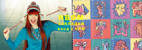 шишки Инта