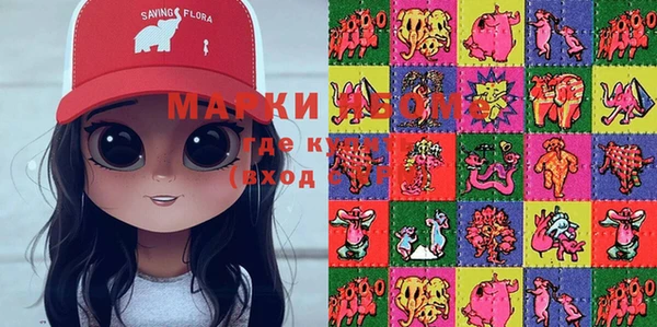 шишки Инта