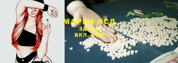 шишки Инта