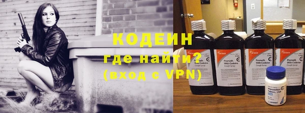 шишки Инта